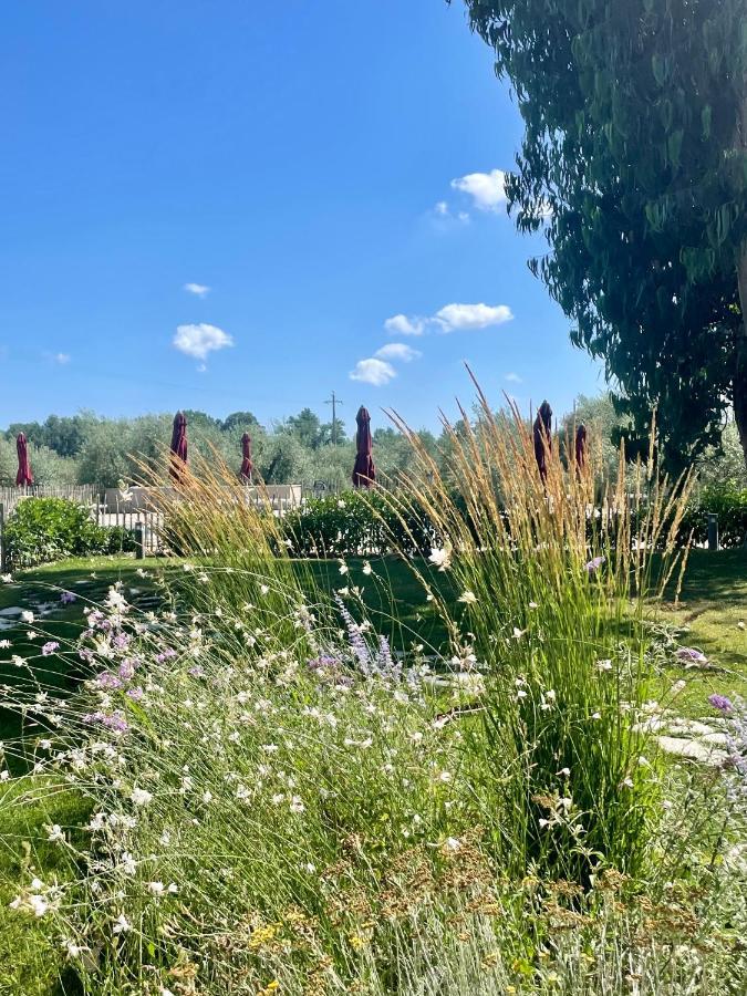 סוברטו Terravita Winery & Boutique Apartments מראה חיצוני תמונה