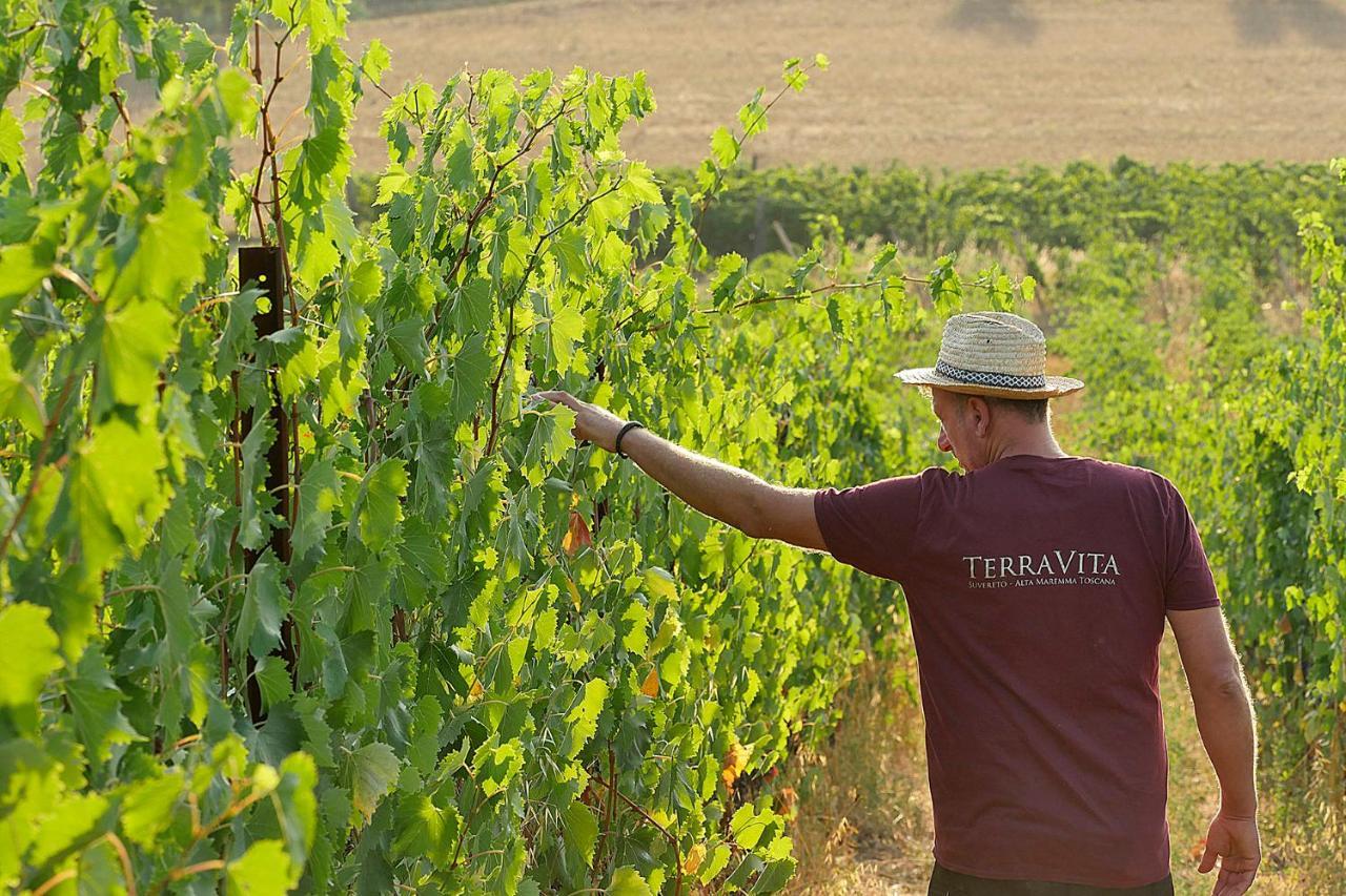 סוברטו Terravita Winery & Boutique Apartments מראה חיצוני תמונה